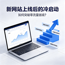 桃山建站-新网站上线后的冷启动：如何突破零流量困境？