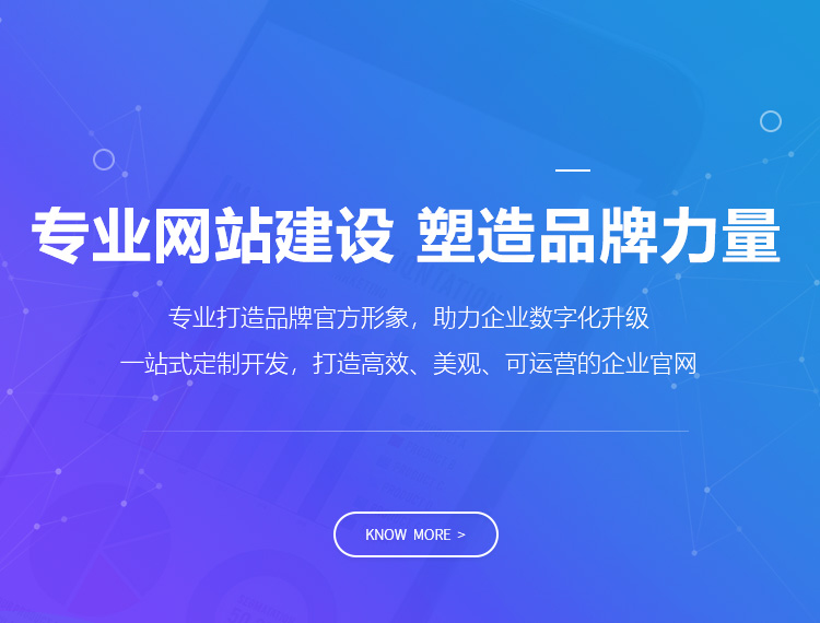 勃利建站-专业网站建设 塑造品牌力量